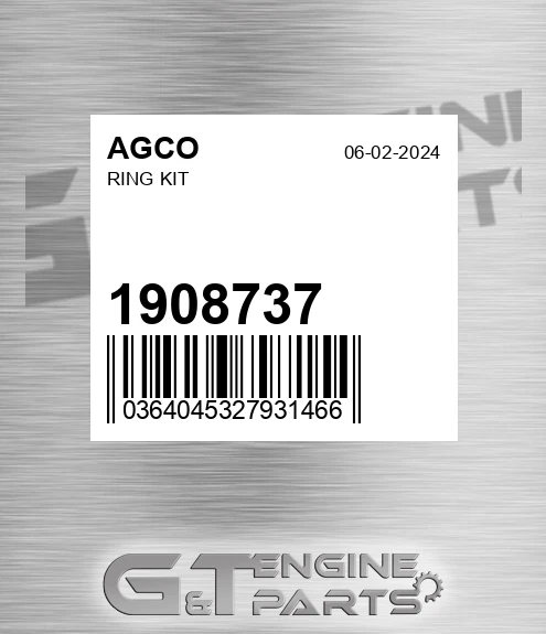 1908737 AGCO Ring Kit