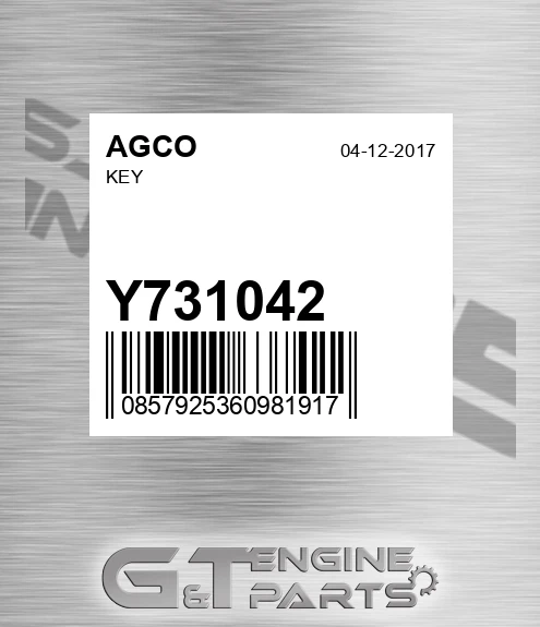 Y731042 AGCO Key
