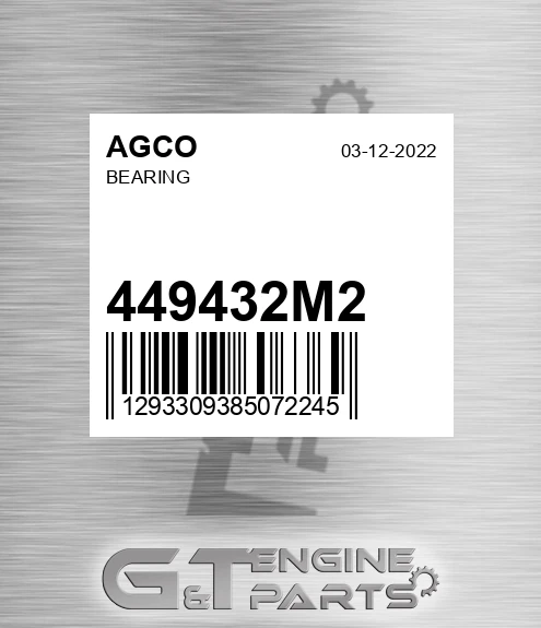 449432M2 AGCO Bearing