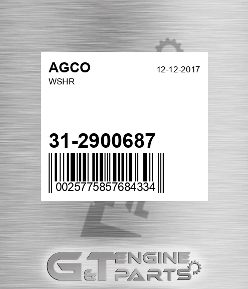 31-2900687 Wshr for AGCO