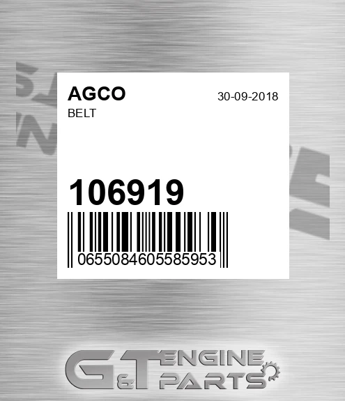 106919 Belt
