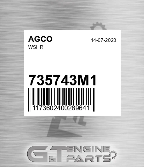 735743M1 Wshr for AGCO