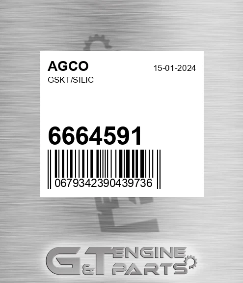 6664591 AGCO Gskt/silic