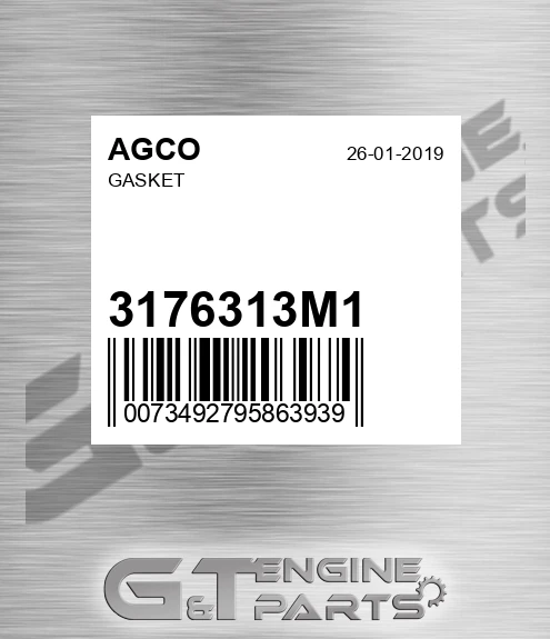 3176313M1 Gasket