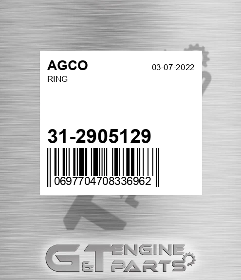 31-2905129 Ring for AGCO