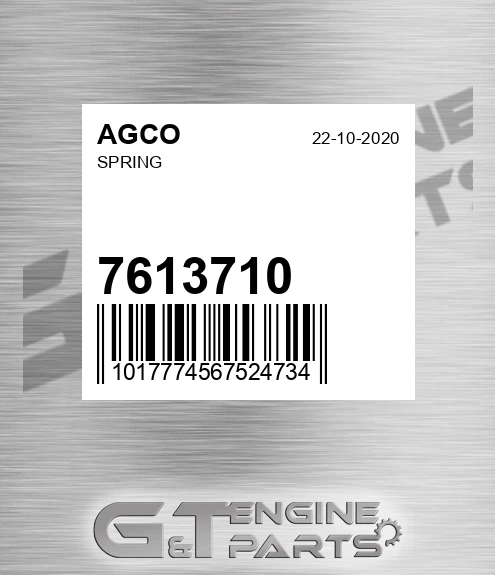 7613710 AGCO Spring