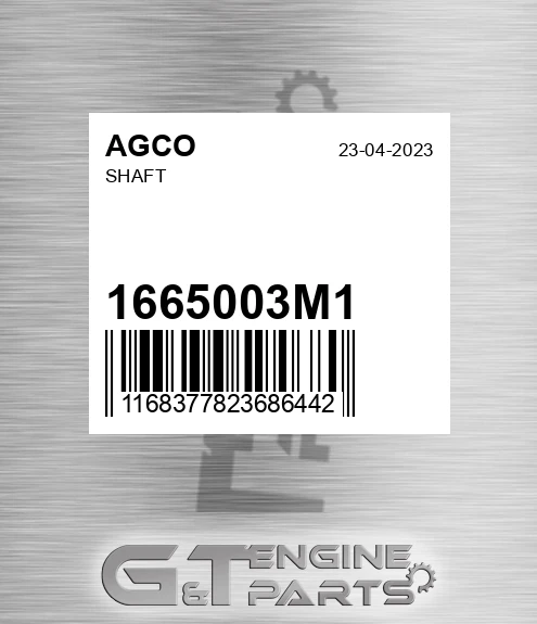 1665003M1 Shaft for AGCO