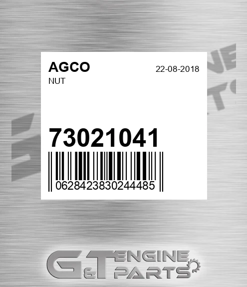 73021041 AGCO Nut