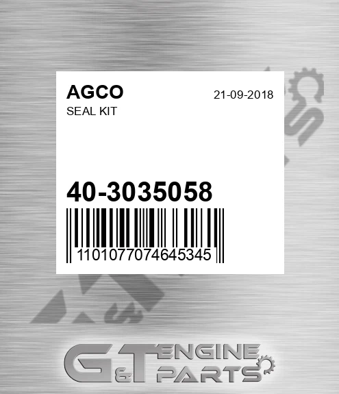 40-3035058 Seal Kit for AGCO