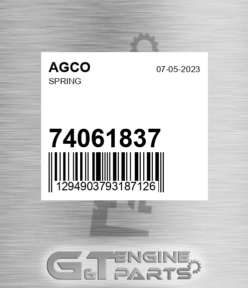 74061837 Spring for AGCO