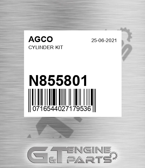 N855801 AGCO Cylinder Kit