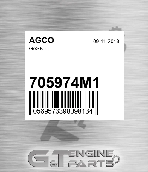 705974M1 Gasket for AGCO