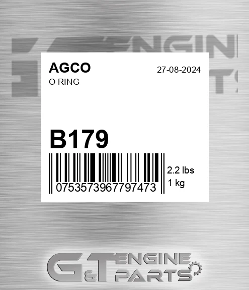 B179 O Ring