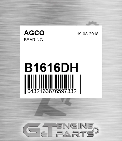 B1616DH Bearing