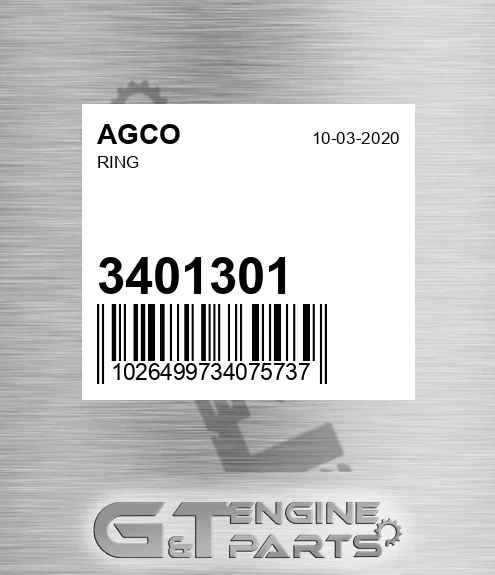 3401301 AGCO Ring