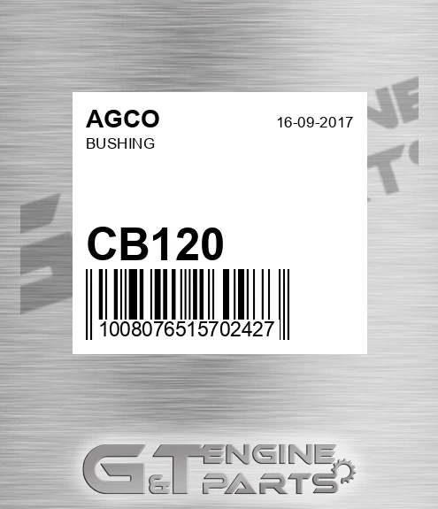 CB120 Bushing