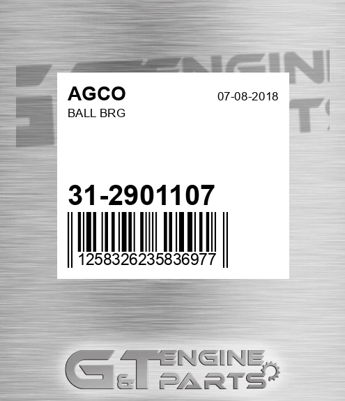 31-2901107 Ball Brg for AGCO