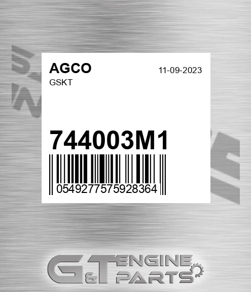 744003M1 AGCO Gskt