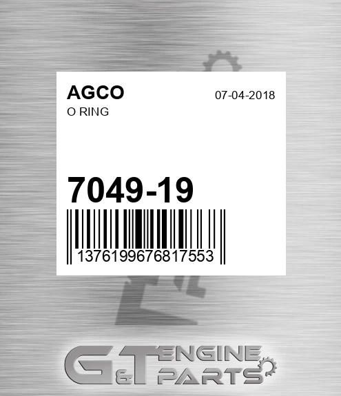 7049-19 O Ring for AGCO