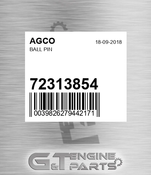 72313854 AGCO Ball Pin