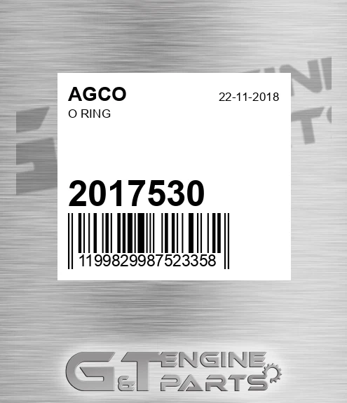 2017530 O Ring