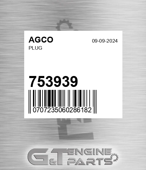 753939 Plug