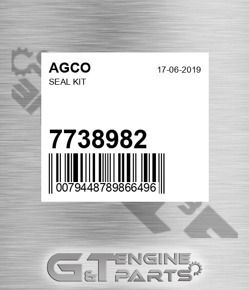 7738982 Seal Kit for AGCO