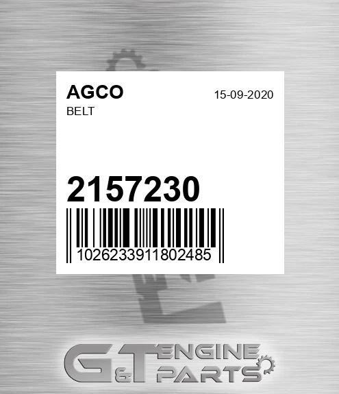 2157230 Belt for AGCO