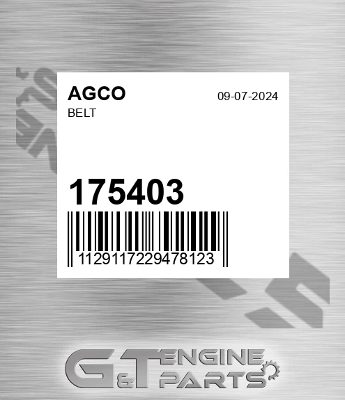 175403 AGCO Belt
