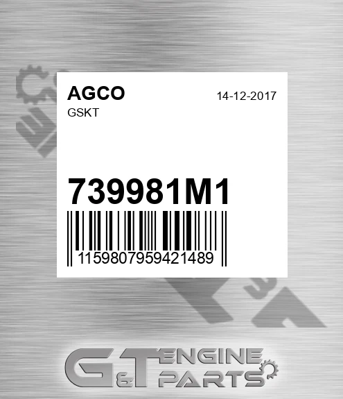 739981M1 Gskt for AGCO