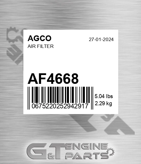 AF4668 Air Filter