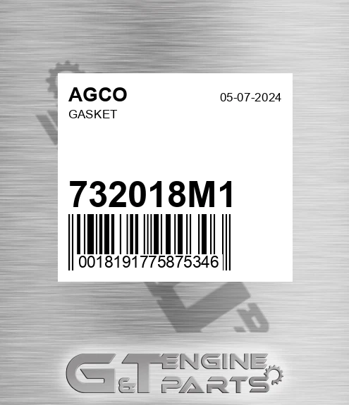 732018M1 Gasket