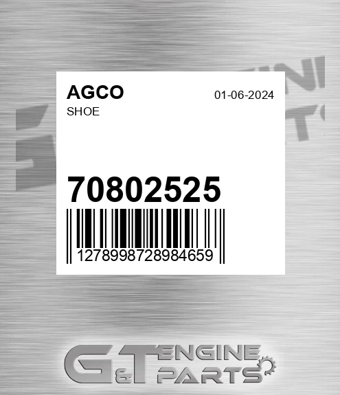 70802525 Shoe for AGCO