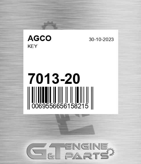 7013-20 Key for AGCO