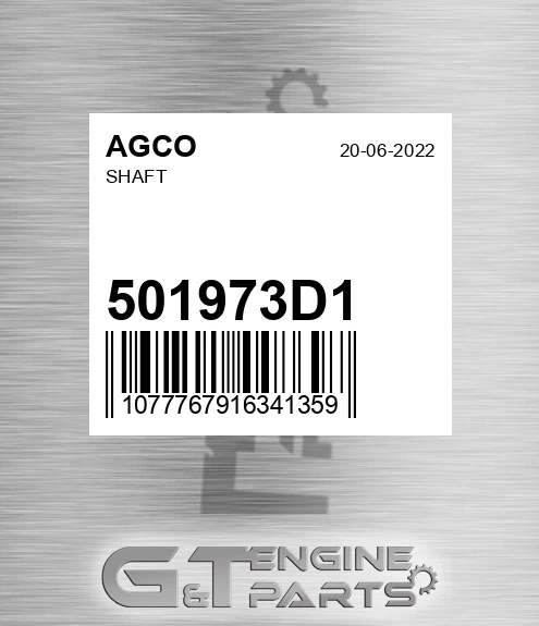 501973D1 Shaft for AGCO