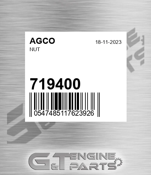 719400 AGCO Nut