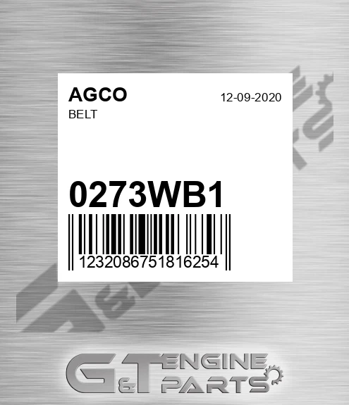 0273WB1 Belt