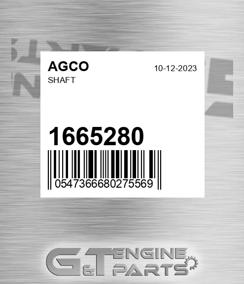 1665280 Shaft for AGCO