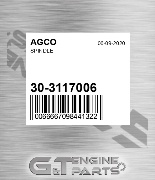 30-3117006 Spindle for AGCO