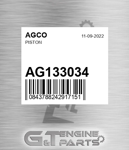 AG133034 Piston
