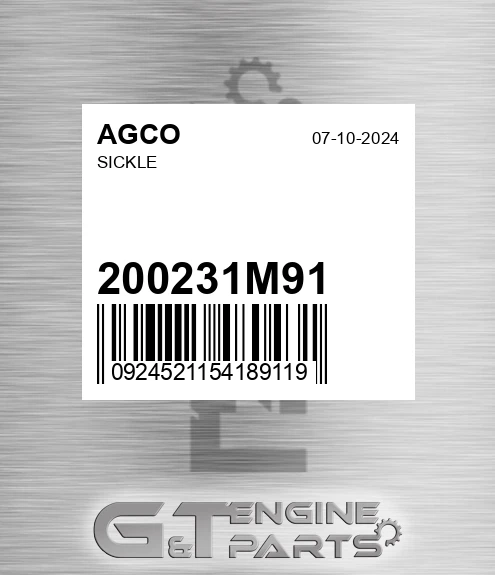 200231M91 Sickle for AGCO