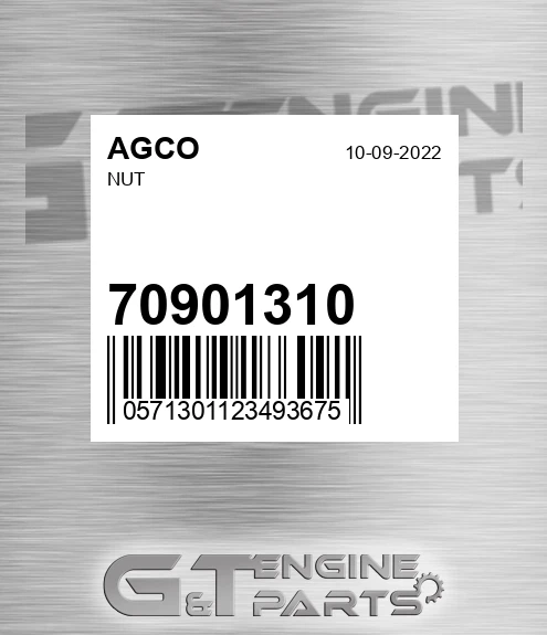70901310 AGCO Nut