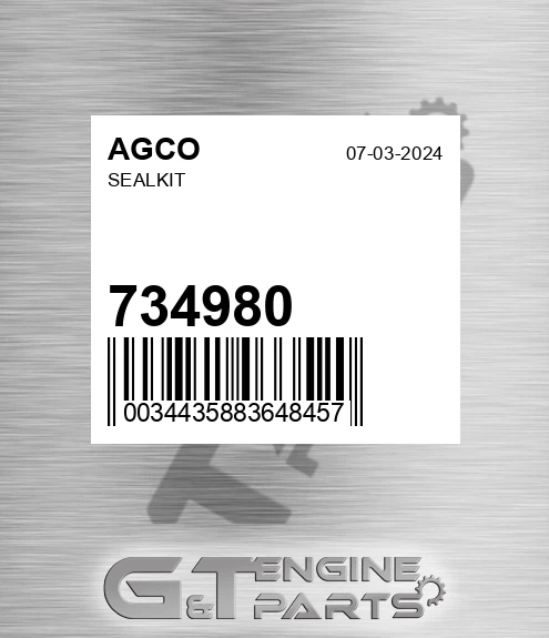 734980 Sealkit for AGCO