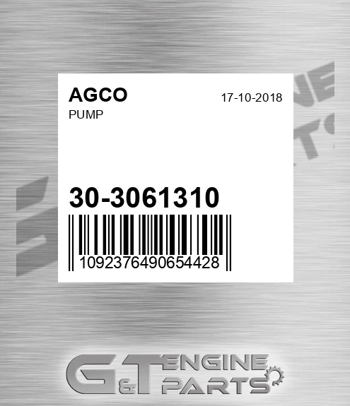 30-3061310 Pump