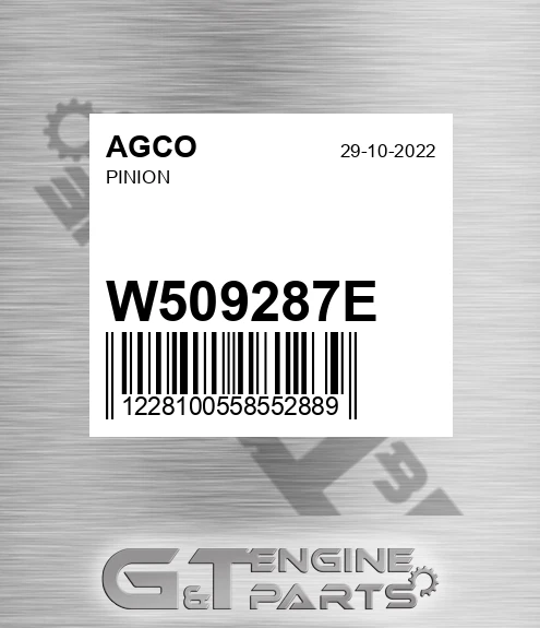 W509287E Pinion for AGCO