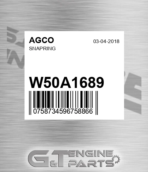 W50A1689 Snapring for AGCO