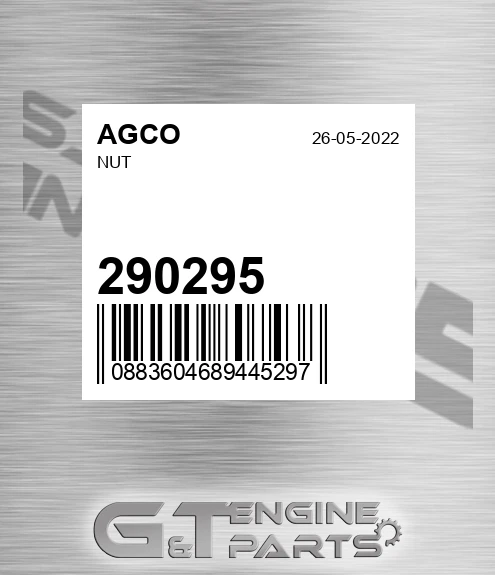 290295 AGCO Nut