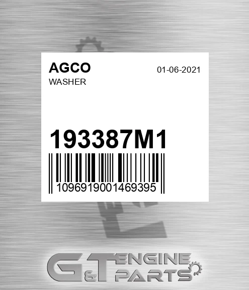193387M1 Washer for AGCO