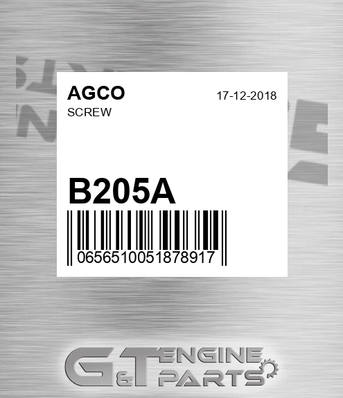 B205A Screw