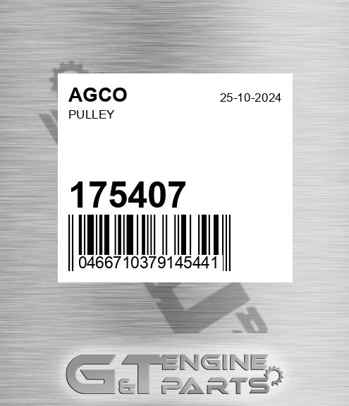 175407 AGCO Pulley